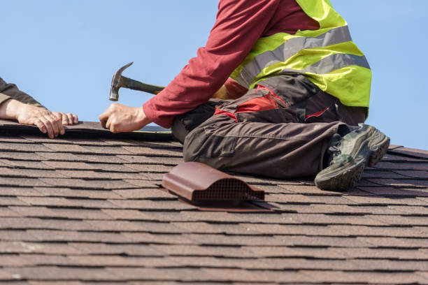 Best Roof Gutter Cleaning  in Sand Ridge, NY